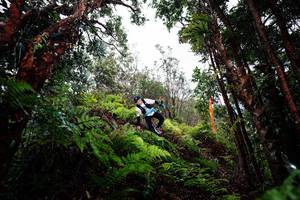 BIB: 
                            <button type="button" onclick="openModal(26203869)" class="btn btn-primary btn-sm float-right btn-popup" data-toggle="modal" data-target=".modal-high-quality">
                        <i class="fas fa-shopping-cart"></i> Add to Cart
                    </button>
                                            <button type="button" onclick="isThisMe(26203869, true)" class="btn btn-success btn-sm float-right btn-popup btn-isme hidden" data-toggle="tooltip" data-placement="bottom" title="นี่คือรูปของคุณใช่ไหม คลิกที่นี่เพื่อเอาเข้าอัลบั้ม">
                        <i class="fas fa-plus"></i> Add to album
                    </button>
                    <button type="button" onclick="isThisMe(26203869, false)" class="btn btn-warning btn-sm float-right btn-popup btn-isnotme hidden">
                        <i class="fas fa-ban"></i> Remove from album
                    </button>